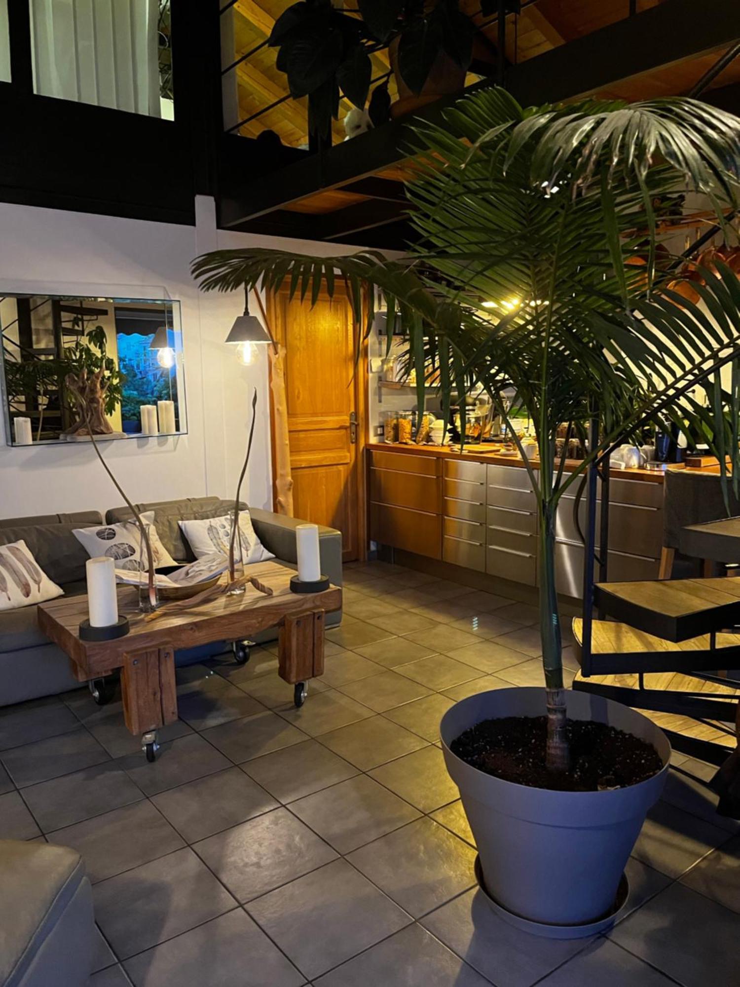 Skylark Bed & Breakfast Grasse Zewnętrze zdjęcie