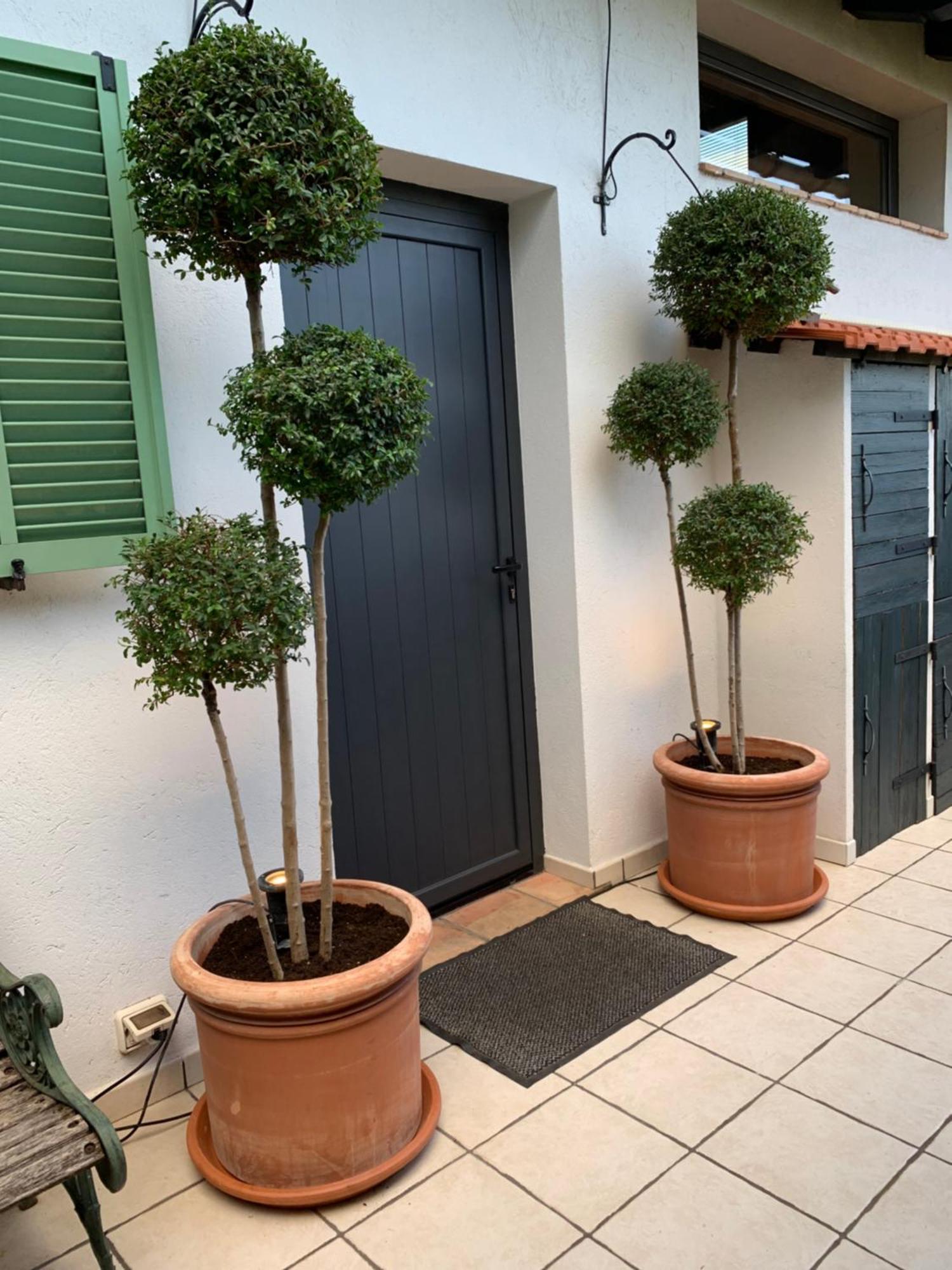 Skylark Bed & Breakfast Grasse Zewnętrze zdjęcie