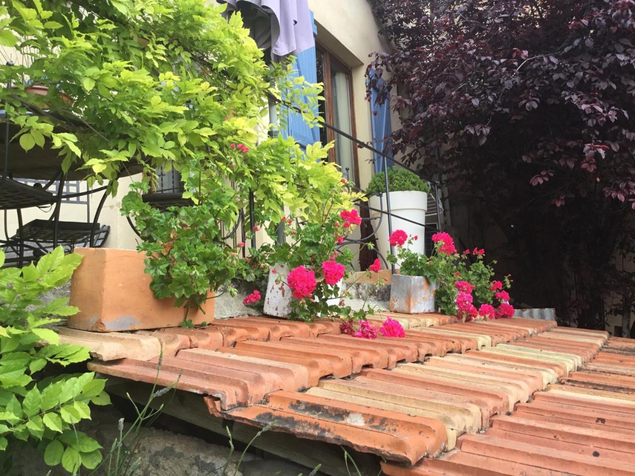 Skylark Bed & Breakfast Grasse Zewnętrze zdjęcie