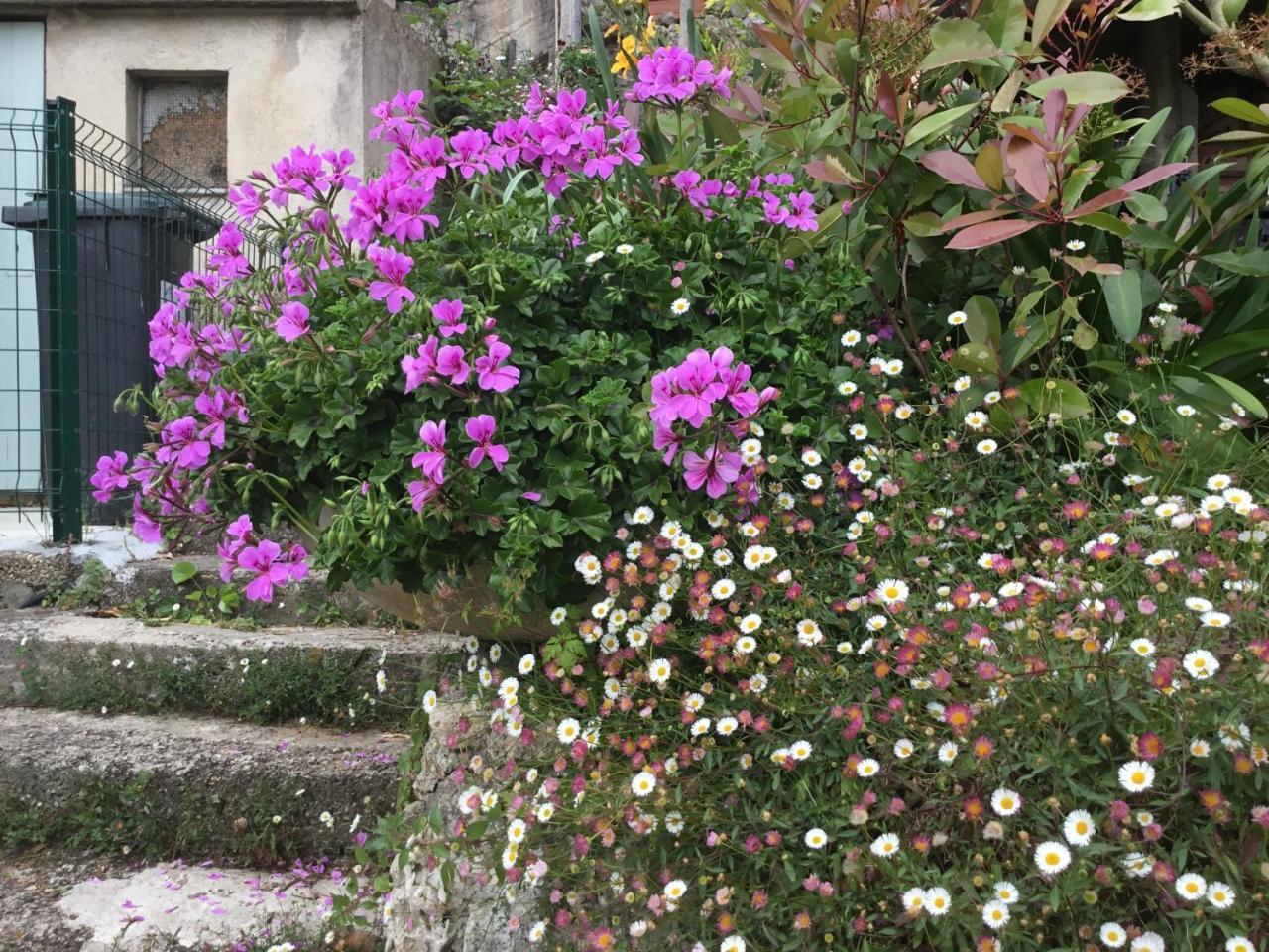Skylark Bed & Breakfast Grasse Zewnętrze zdjęcie